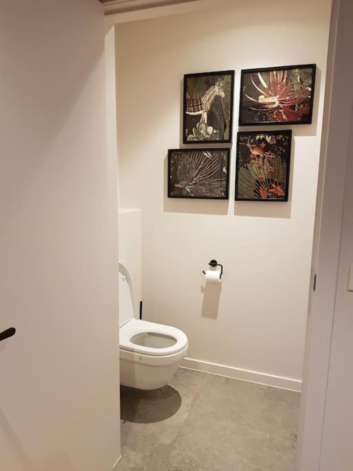 Vakantiehuis The Nuthouse Roeselare Luaran gambar